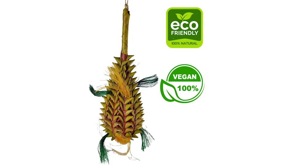 Prostě velkej ananas