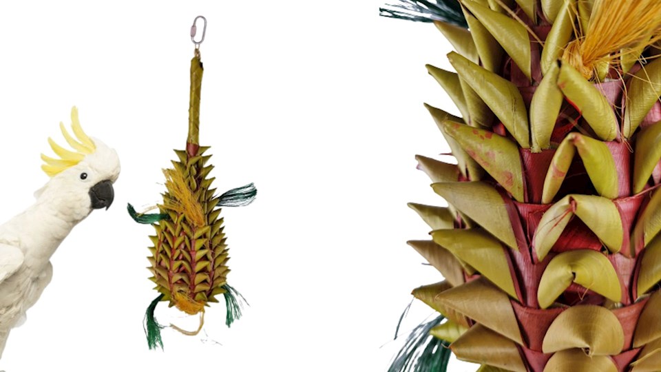 Prostě velkej ananas