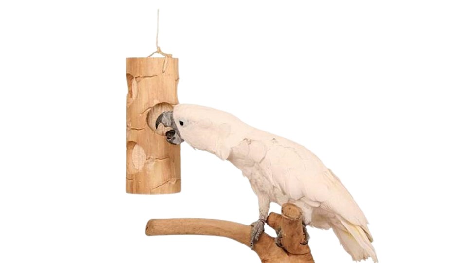 BIRD KABOB Olé Tower L